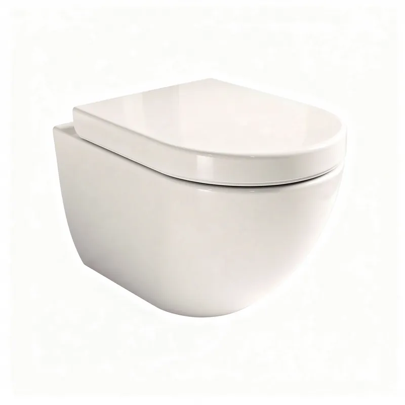 Pose WC Suspendu Cergy